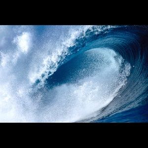 Meet your Posher, Sean